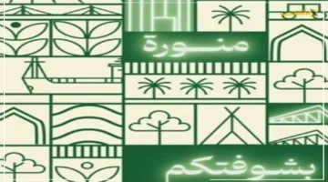 رسميًا بمناسبة اليوم الوطني الـ 95.. هيئة السياحة تطلق حملتها منورة بشوفتكم ماذا ينتظر الزوار والمواطنين؟ 2